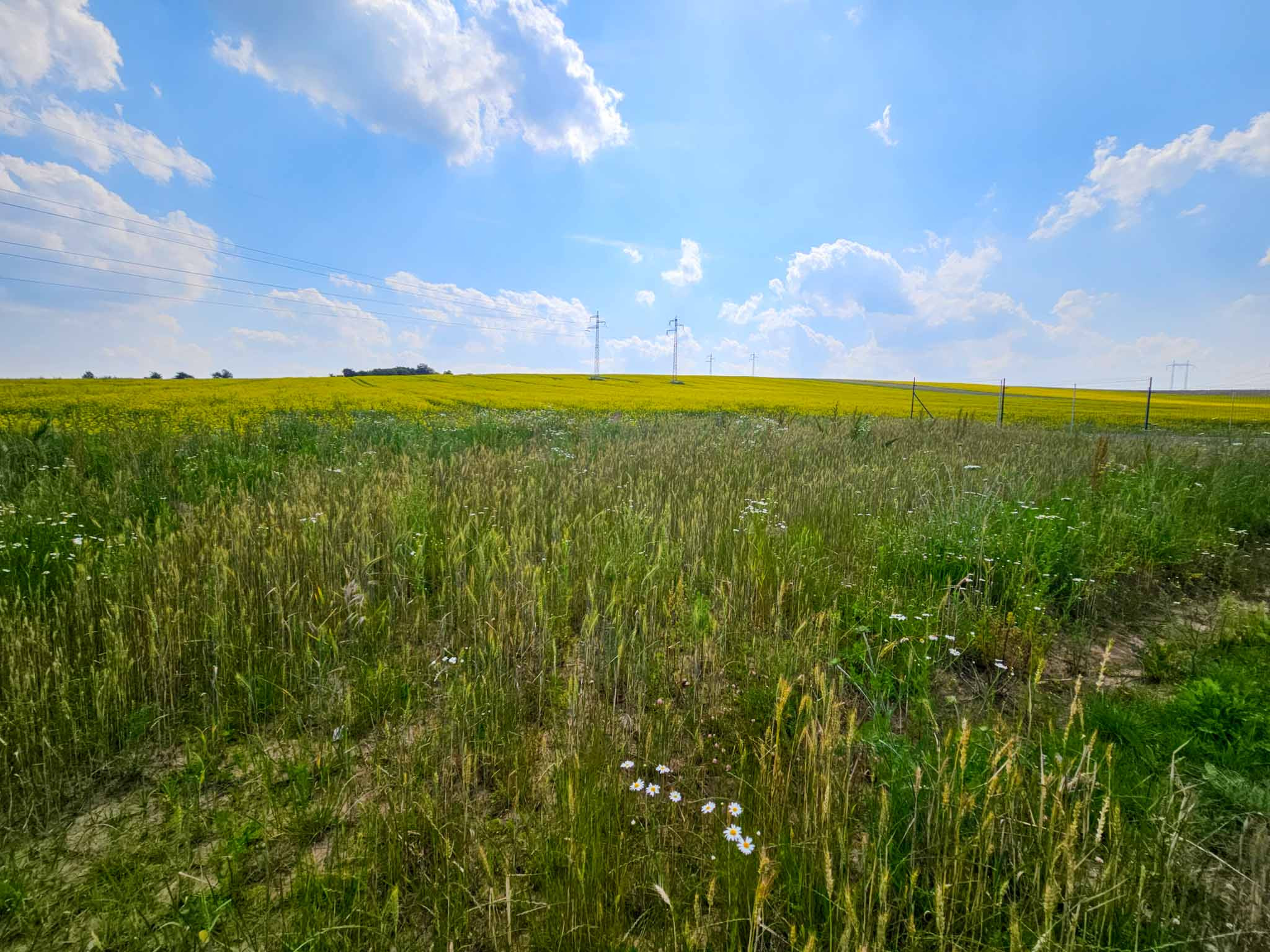 EXKLUZÍVNE Pozemok na výstavbu rodinného domu, obec Spišský Hrušov, okres Spišská Nová Ves