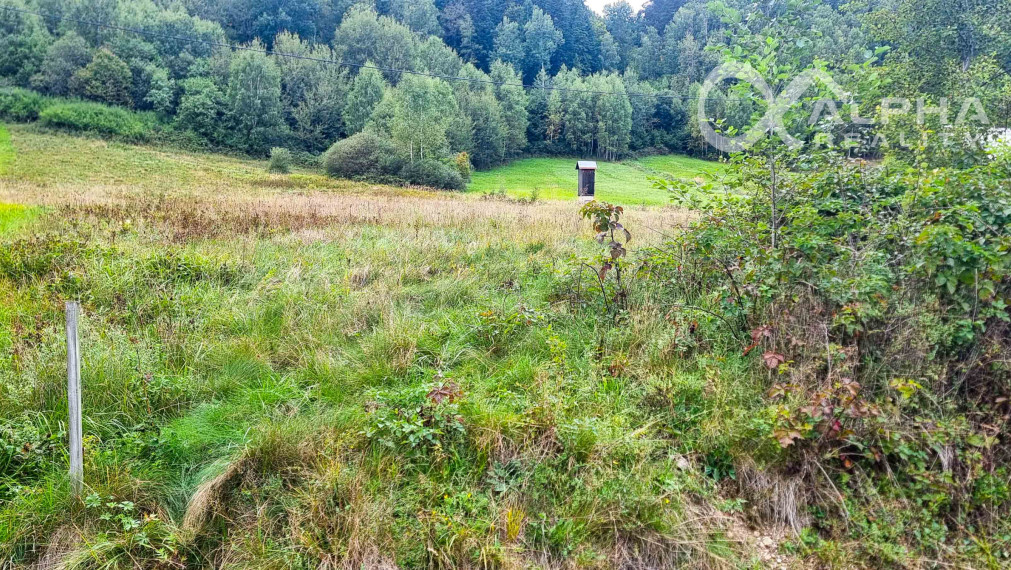 Pozemok obec Nálepkovo, časť Zahájnica