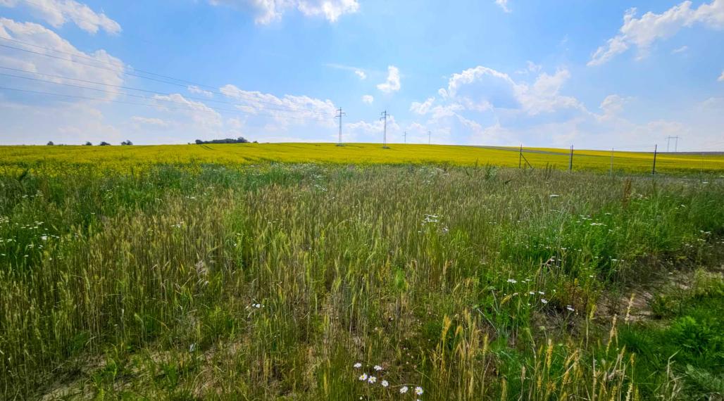 EXKLUZÍVNE Pozemok na výstavbu rodinného domu, obec Spišský Hrušov, okres Spišská Nová Ves
