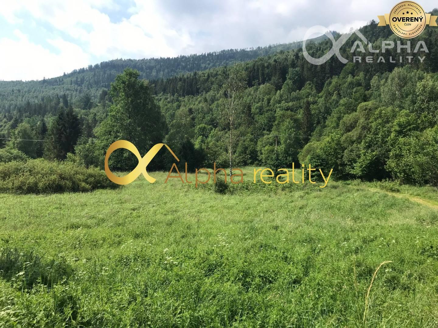 Rozsiahly pozemok 25370m2 , Nálepkovo, lokalita Delava - Peklisko