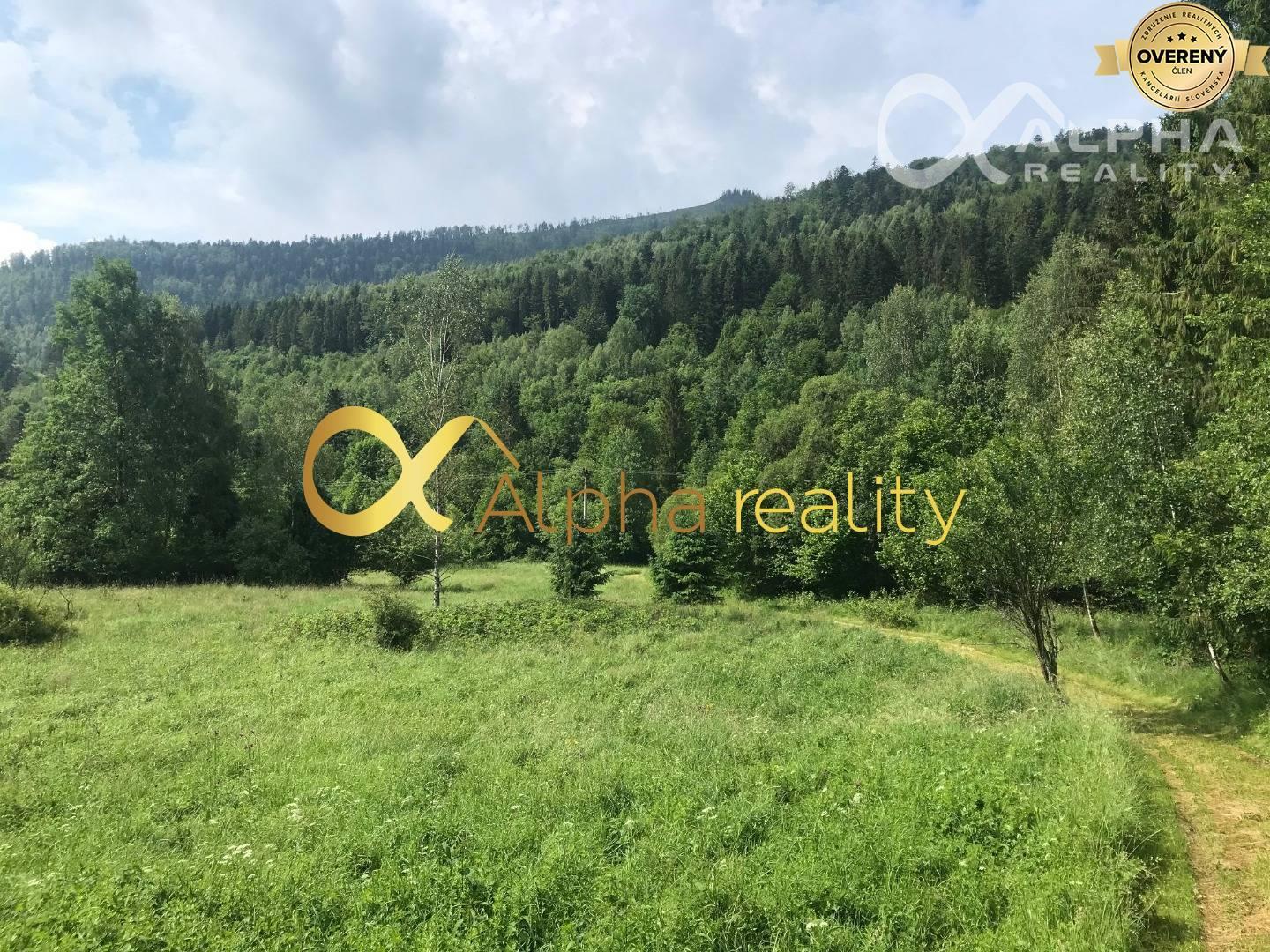 Rozsiahly pozemok 25370m2 , Nálepkovo, lokalita Delava - Peklisko