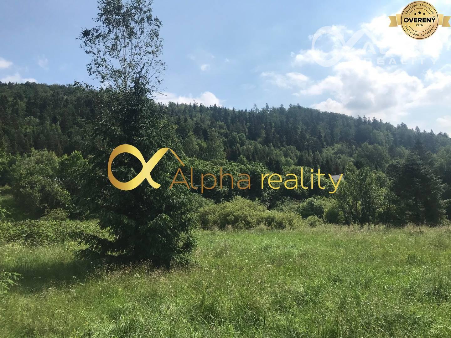 Rozsiahly pozemok 25370m2 , Nálepkovo, lokalita Delava - Peklisko