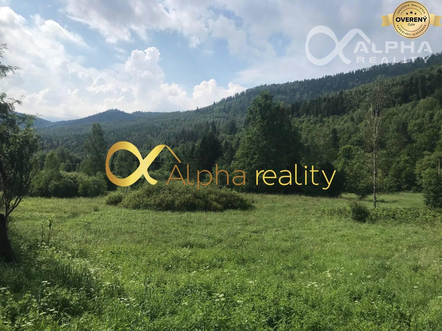 Rozsiahly pozemok 25370m2 , Nálepkovo, lokalita Delava - Peklisko