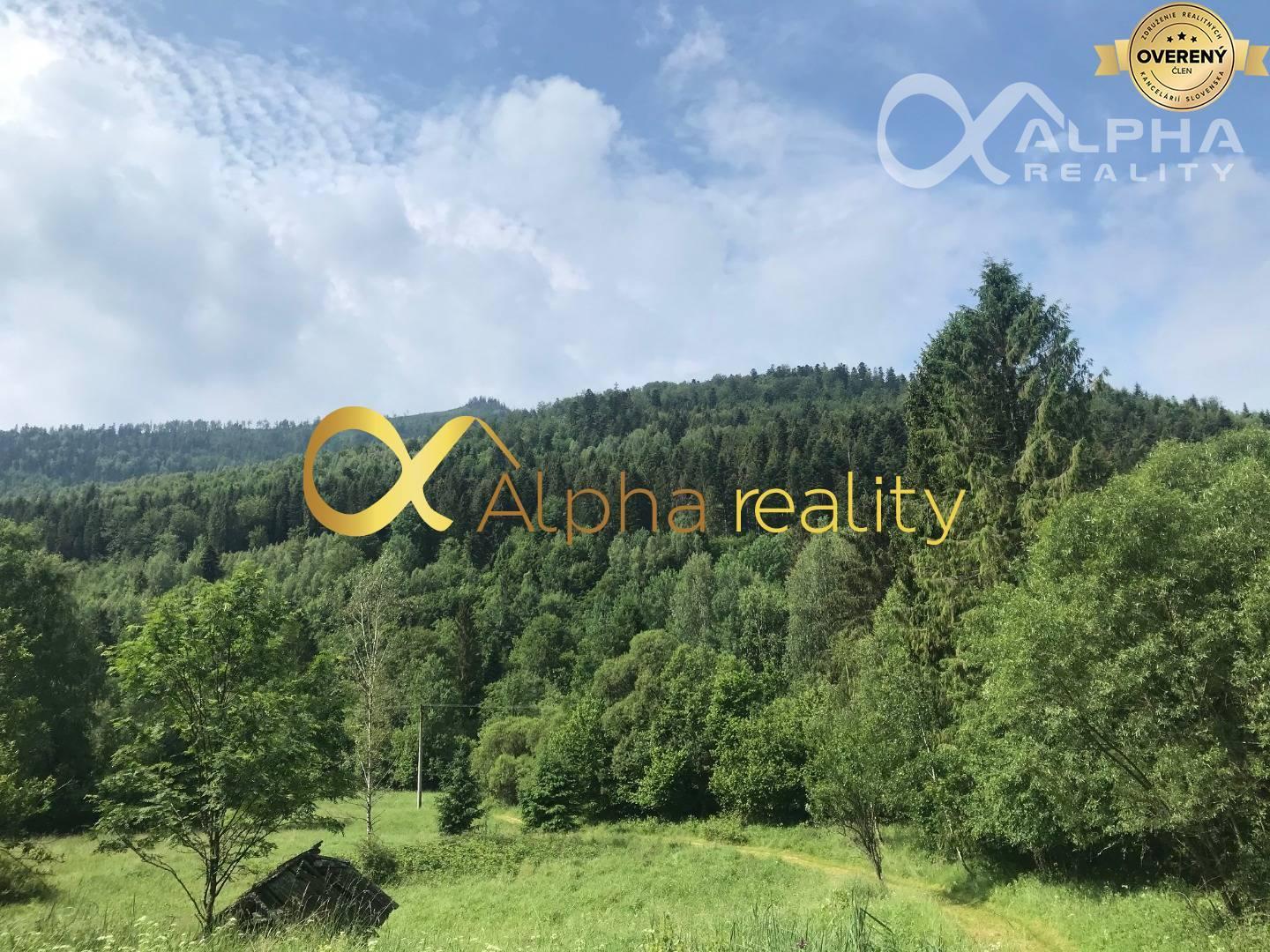 Rozsiahly pozemok 25370m2 , Nálepkovo, lokalita Delava - Peklisko