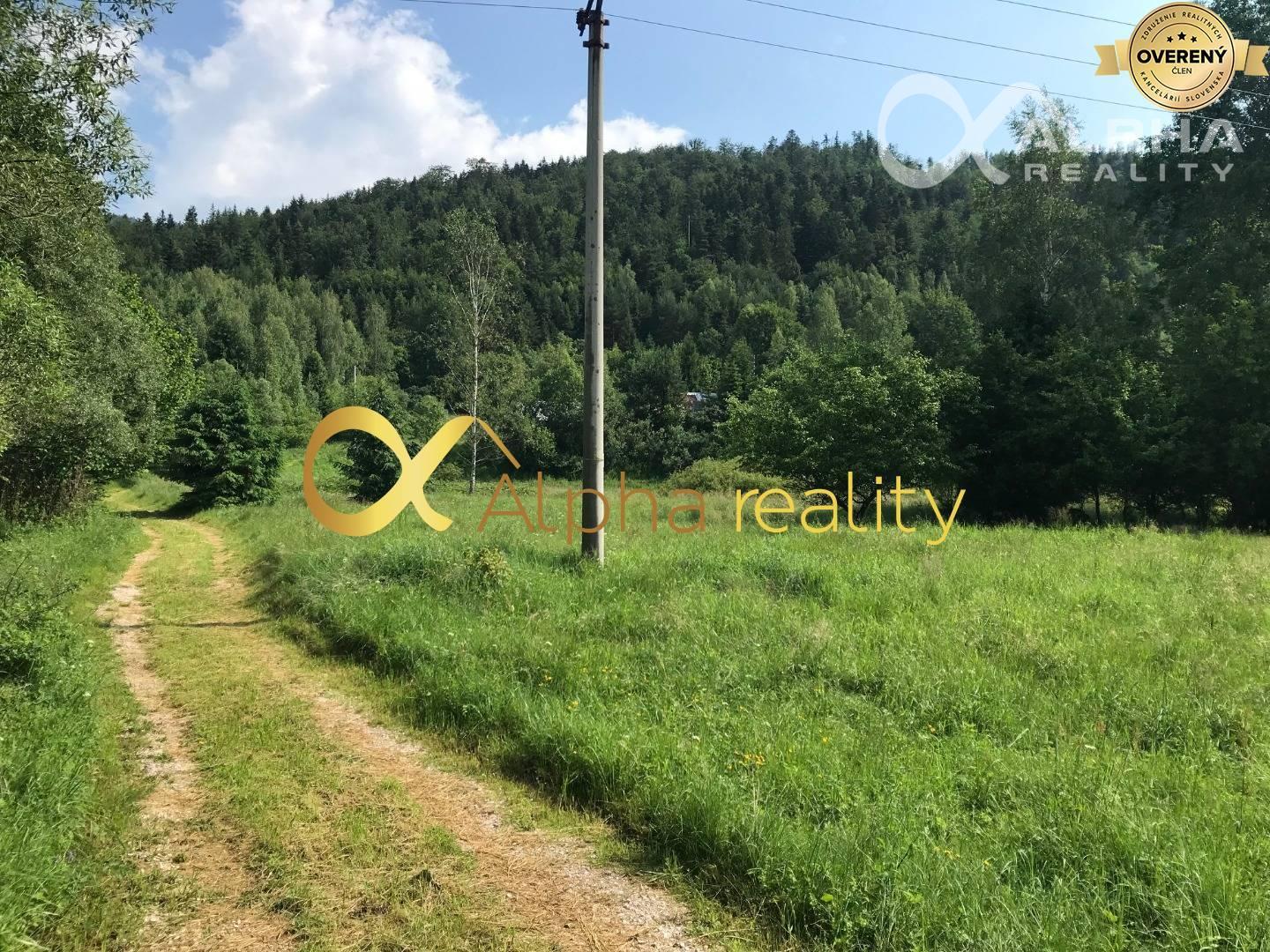 Rozsiahly pozemok 25370m2 , Nálepkovo, lokalita Delava - Peklisko