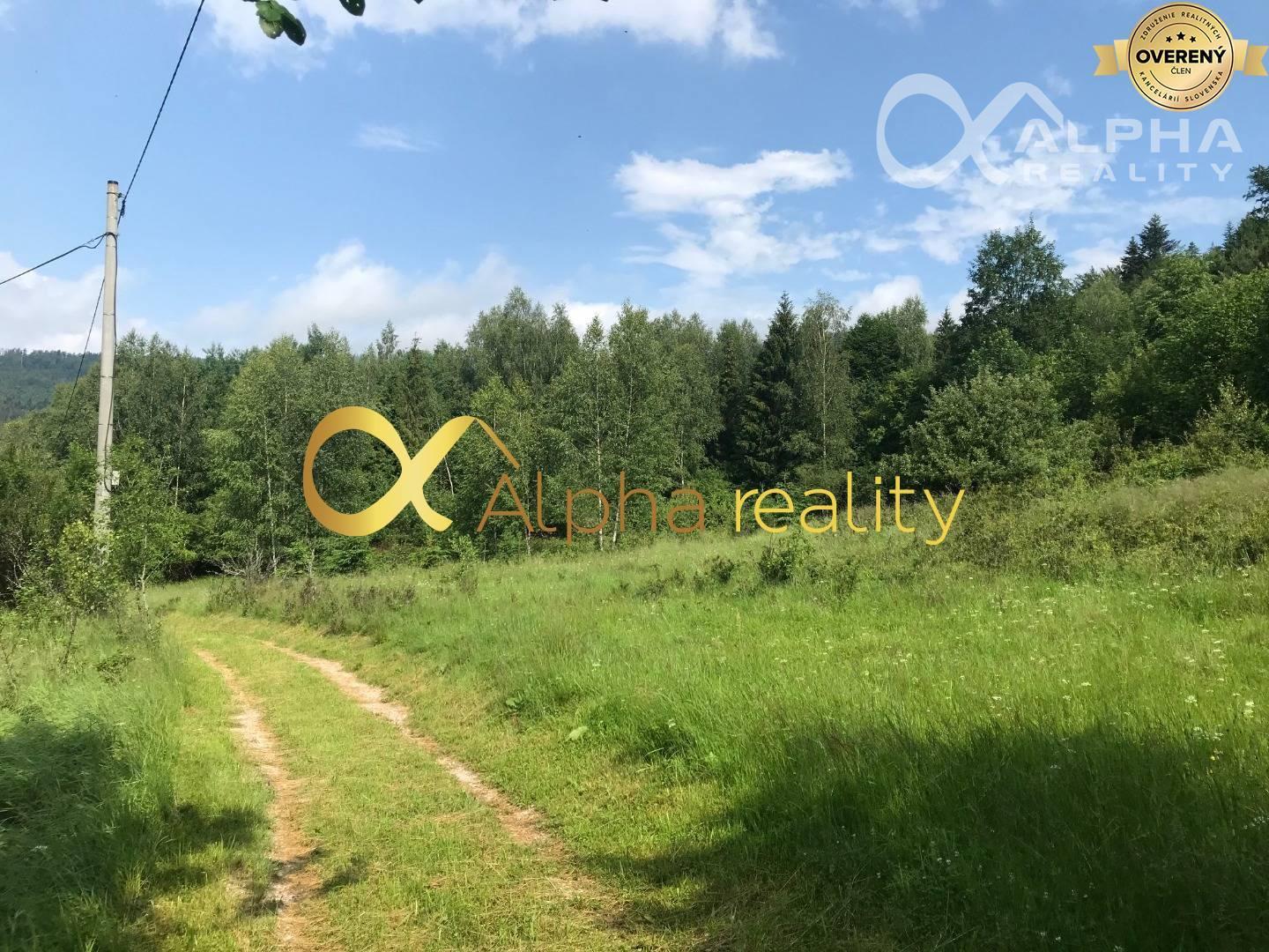 Rozsiahly pozemok 25370m2 , Nálepkovo, lokalita Delava - Peklisko