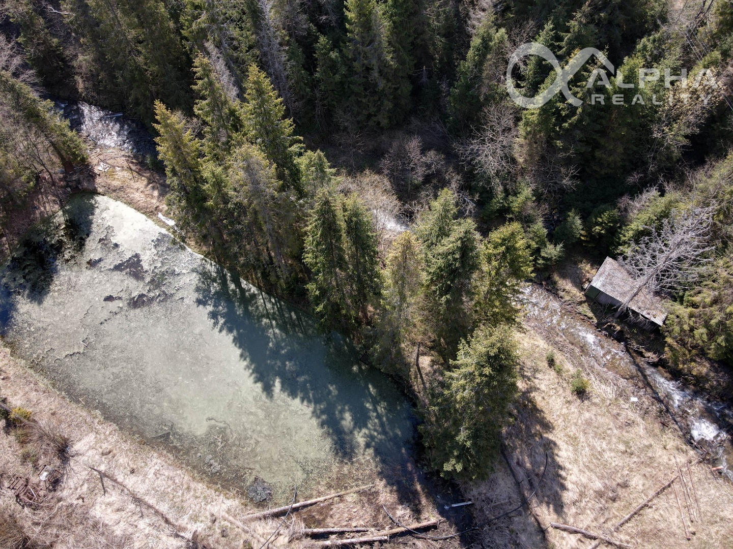 Rozsiahly pozemok vhodný na výstavbu, obec Hnilčík, okres Sp. Nová Ves