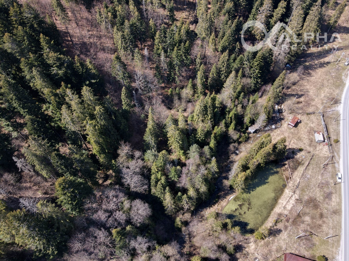 Rozsiahly pozemok vhodný na výstavbu, obec Hnilčík, okres Sp. Nová Ves