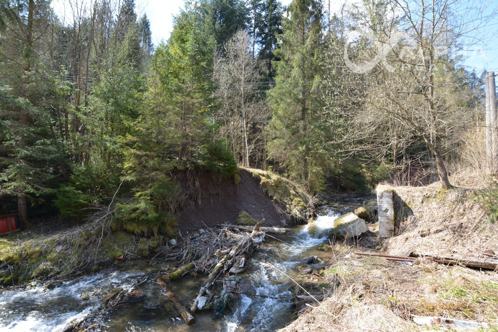 Rozsiahly pozemok vhodný na výstavbu, obec Hnilčík, okres Sp. Nová Ves