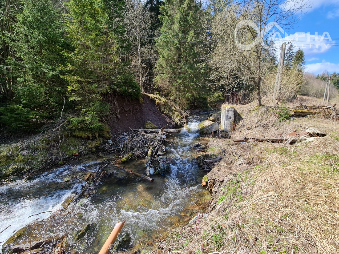 Rozsiahly pozemok vhodný na výstavbu, obec Hnilčík, okres Sp. Nová Ves