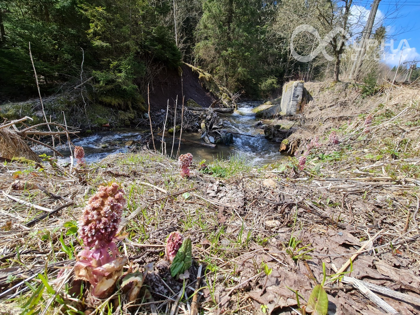 Rozsiahly pozemok vhodný na výstavbu, obec Hnilčík, okres Sp. Nová Ves