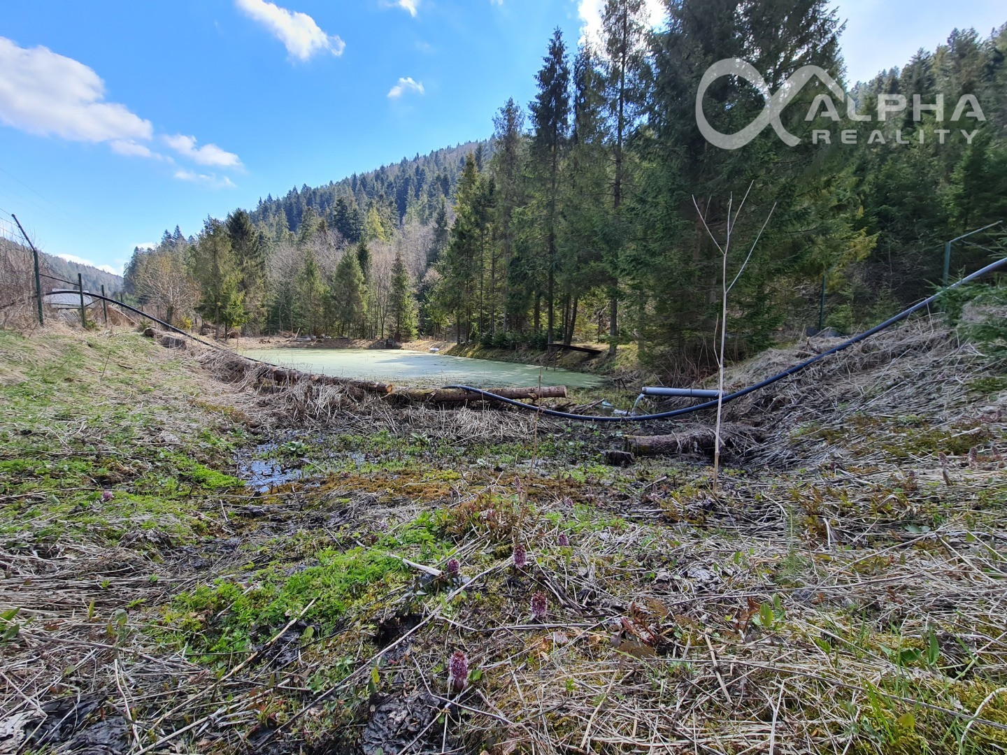 Rozsiahly pozemok vhodný na výstavbu, obec Hnilčík, okres Sp. Nová Ves