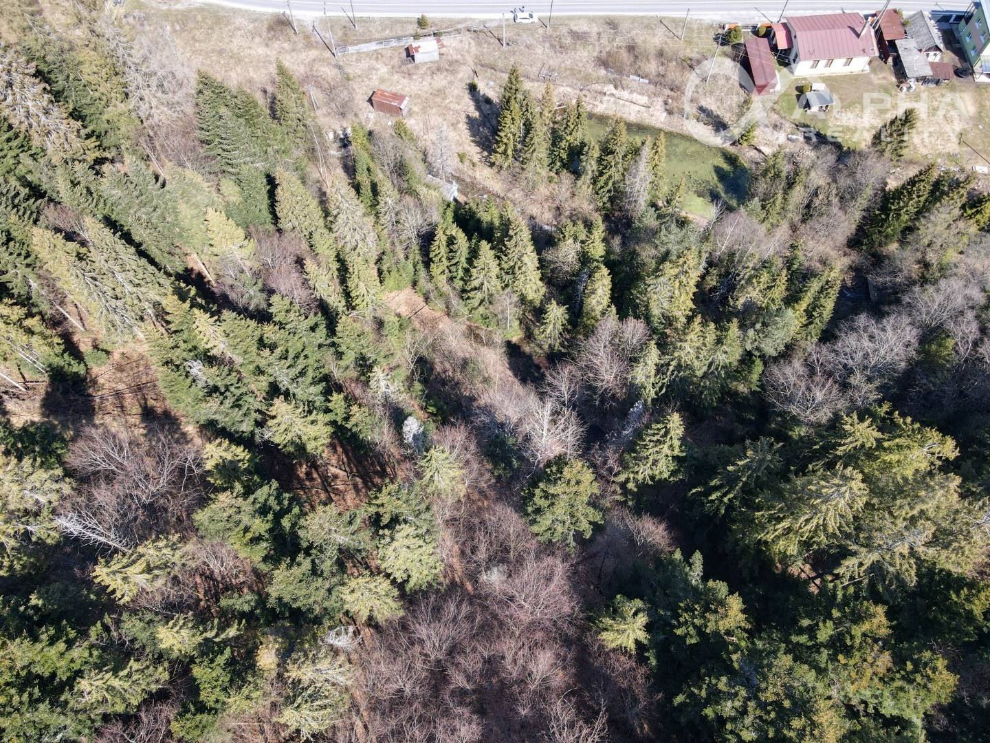 Rozsiahly pozemok vhodný na výstavbu, obec Hnilčík, okres Sp. Nová Ves