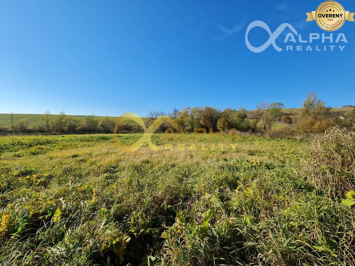 Rozostavaný zrubový rodinný dom, obec Pongrácovce, okres Levoča 