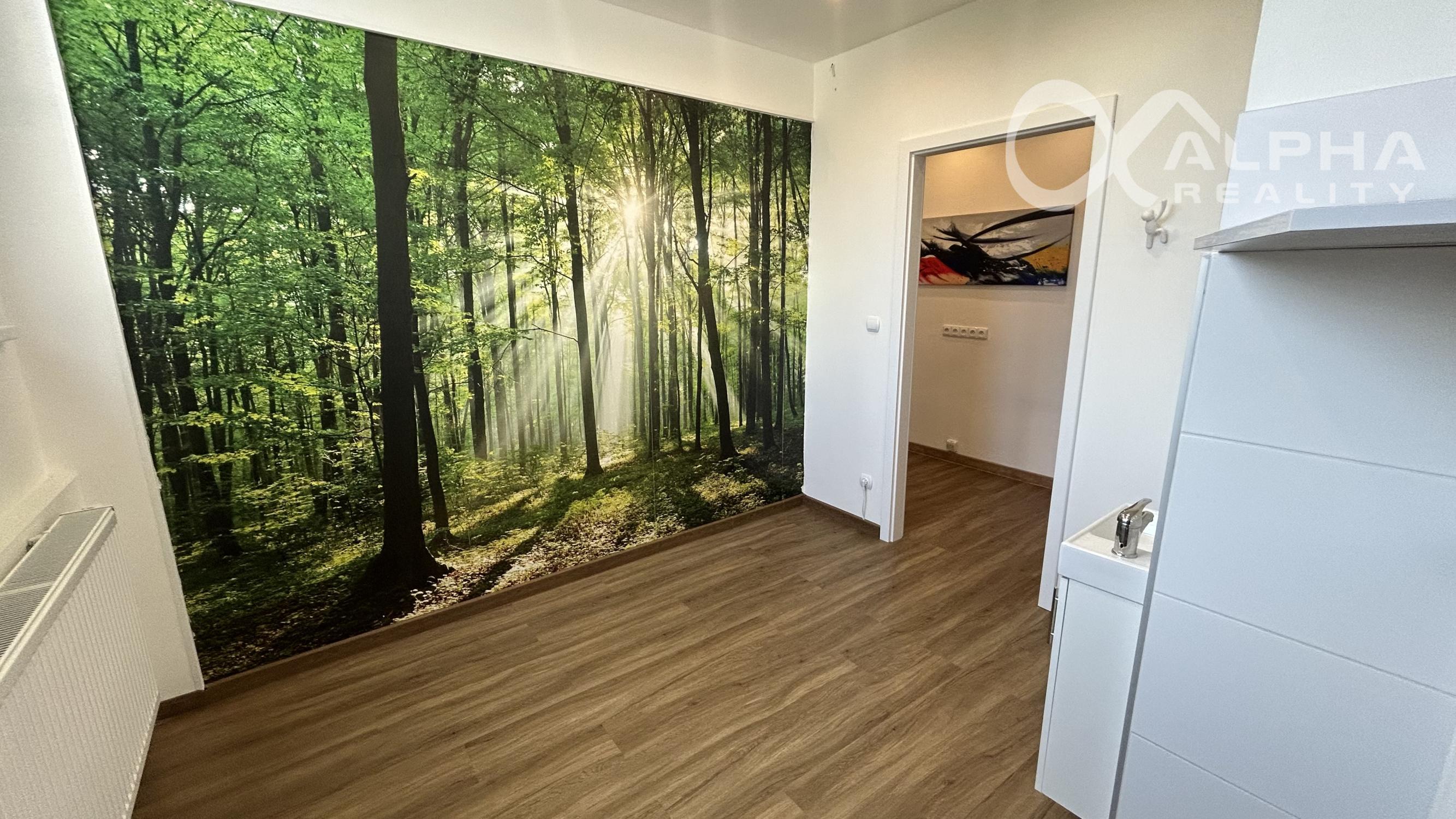 Prenájom priestorov na podnikanie, Drevárska ulica, Spišská Nová Ves